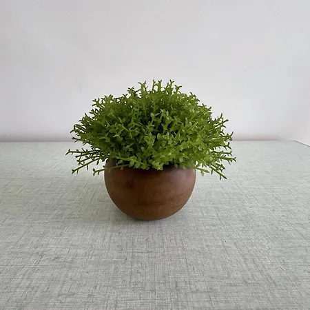 Appartement Cosy Rénové Vue Mer, Proche Et Animations - Fr-1-323-472 Saint-Jean-de-Monts