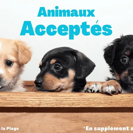 Cosy Rénové Vue Mer, Proche Et Animations - Fr-1-323-472 Appartement *