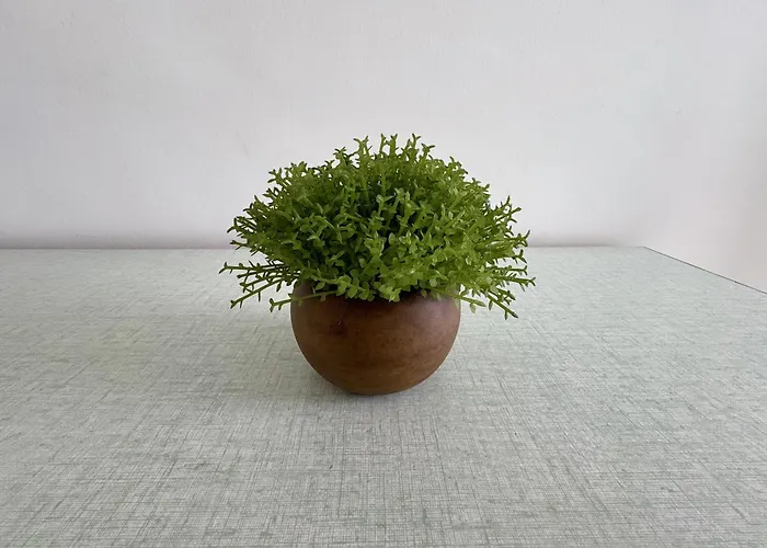 아파트 Cosy Renove Vue Mer, Proche Et Animations - Fr-1-323-472 생장드몽